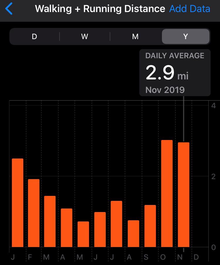 Monthly walking distances 2019